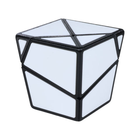 ZePuzzles LevinStone 2x2 (Tiled 3D-Printed Shape Mod)