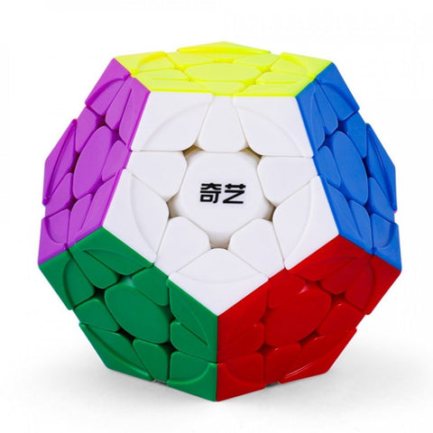 QiYi Warrior Megaminx Stickerless Cube