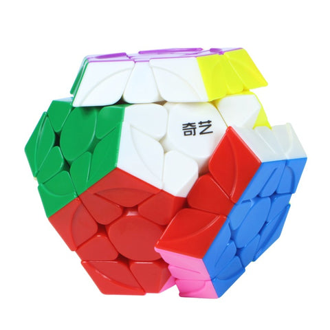 QiYi Warrior Megaminx Stickerless Cube